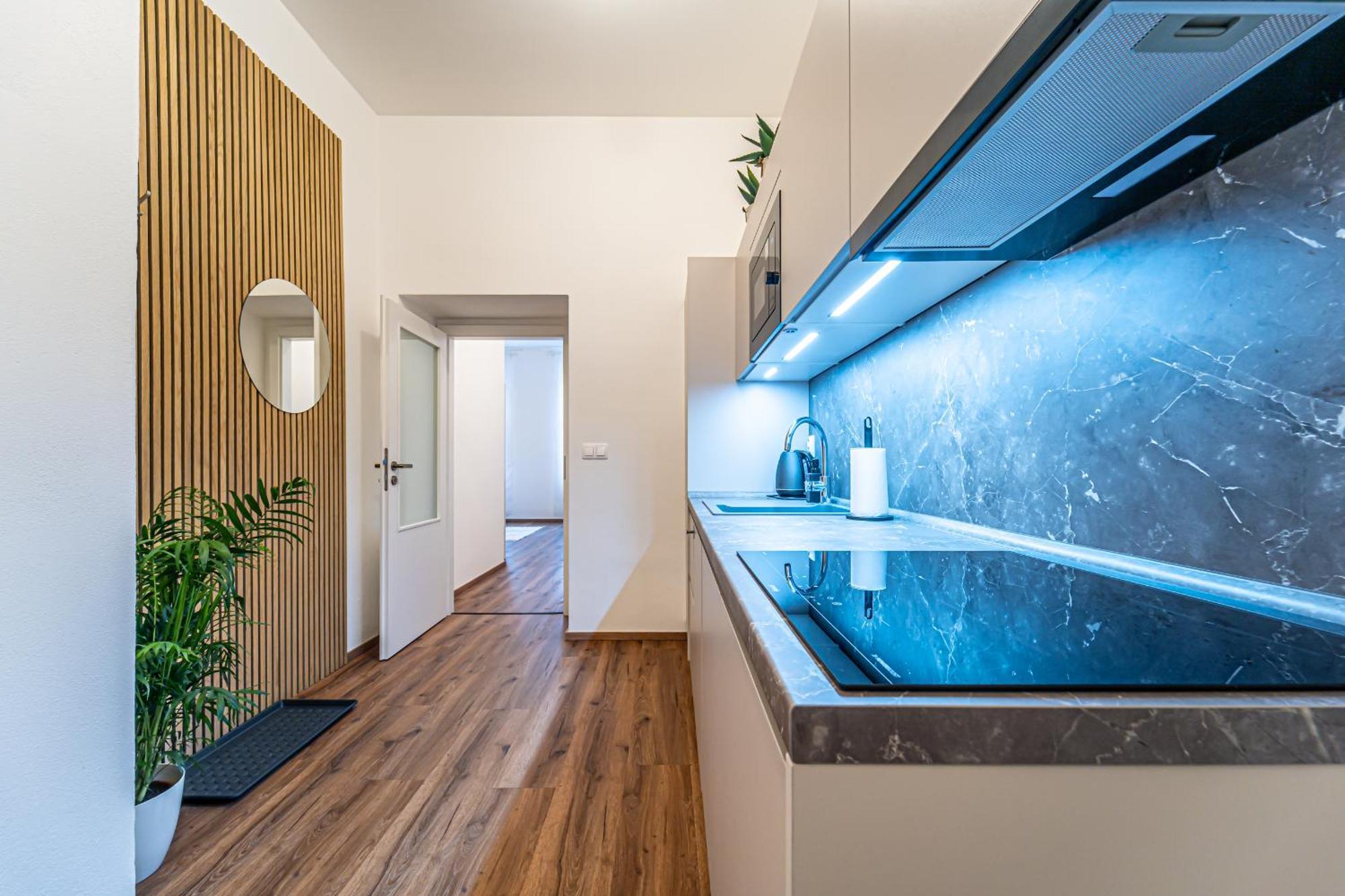 Design Apartments Luzanky Brno Exteriér fotografie